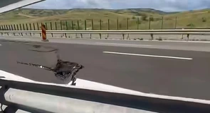 Surpare pe Autostrada A10 Sebeș – Turda. Ce spune constructorul PORR, după ce CNAIR a transmis că l-ar putea da în judecată pentru recuperarea banilor de reparații