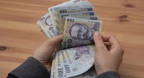 Legea salarizării. Care este valoarea maximală a proiectului – Anunţ de la Guvern