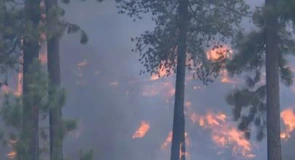 Incendiu, aparent provocat de o dronă, în satul Plauru, comuna Ceatalchioi