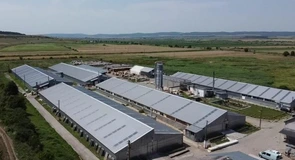 Roca Industry a reușit să-și închidă diferendul cu fostul proprietar al Workshop Doors, care-i poprise conturile pentru că nu achitase toți banii pentru preluarea companiei