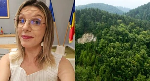 Diana Buzoianu: România a depăşit ţintele PNRR pentru păduri. Anunţ de la Ministerul Mediului despre zonele cu cele mai mari suprafeţe împădurite