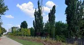 Un nou parc în București: tronsonul din Parcul Liniei cuprins între strada Moineşti şi Lujerului