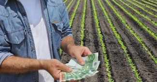 Agricultorii mai au doar două luni pentru accesarea creditelor Rural Plus, cu garanția statului. Termen limită, 30 iunie 2024