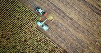 România este al patrulea contributor la producția de reziduuri agricole din UE. Ce se face cu ele