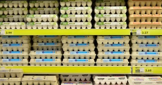 Prețul de producător al ouălor se apropie din nou de pragul de 2 euro kilogramul, în România. Care este trendul în Europa