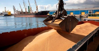 Excedentul comercial cu cereale a coborât sub jumătate de miliard de euro. Importurile au luat-o iar în sus