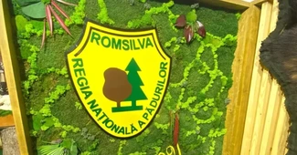 Romsilva a investit în acest an 289 de milioane de lei în drumuri forestiere, depozite şi utilaje