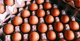 Cine este fermierul român care refuză să vândă ouăle la export – Agrointeligența