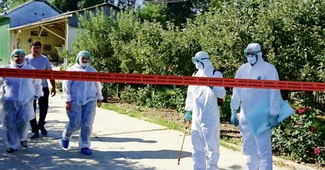 Cât de tare a lovit anul trecut pesta porcină africană. România se confruntă cu o dublare a număruui de focare la porcii domestici