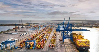 Compania DP World din EAU plantează „păduri subacvatice” pentru restaurarea costieră din zona Constanța South Container Terminal (VIDEO)