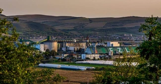 Ce afaceri a făcut anul trecut Zahăr Luduș, singura fabrica de zahăr controlată de antreprenori români