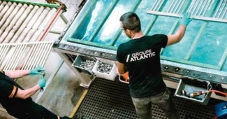 Creştere de 16 ori a afacerilor Groupe Atlantic Romania, care au depăşit borna de 2 milioane de lei în 2025. Şi-a sporit de patru ori numărul de angajaţi