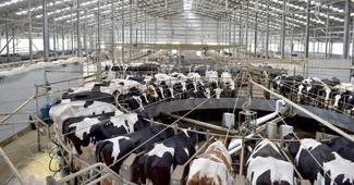 Compania Agroserv Măriuța, deținătoare brandului Lăptăria cu Caimac, a atras o a treia finanțare nerambursabilă pentru construirea de capacități energetice regenerabile