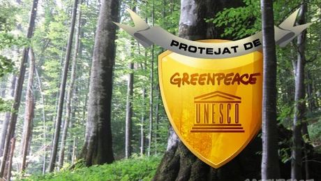 Greenpeace: TTIP ocoleşte protecţia consumatorilor şi ar trebui anulat