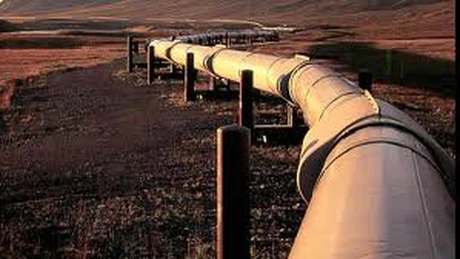 România va accepta orice variantă a gazoductului Nabucco