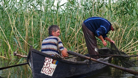 Taxa pentru pescuit va fi anulată în Delta Dunării