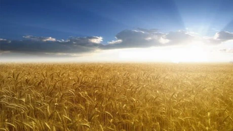 CNP: România are nevoie de comasarea terenurilor agricole. Cât pierdem din fărâmiţarea acestora