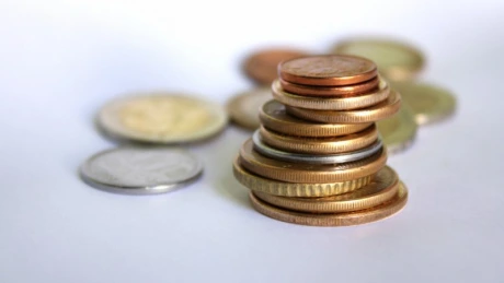 Euro va costa 4,6 lei peste şase luni, spun analiştii CFA din România