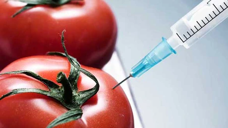 Europa va continua să consume Organisme Modificate Genetic