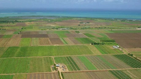 Guvernul vrea comasarea terenurilor agricole şi refacerea irigaţiilor