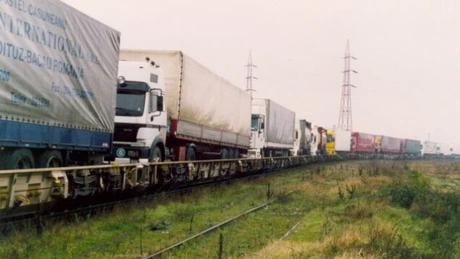 IFC preia 10% din Transport Trade Services
