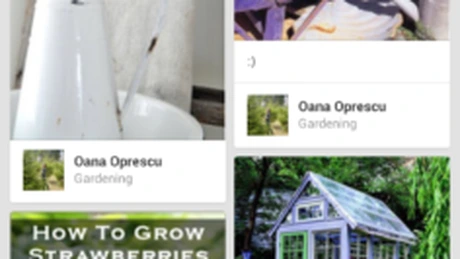 Pinterest a lansat aplicaţii pentru Android şi iPhone