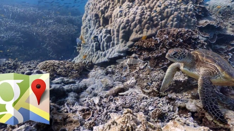 Google a lansat un Street View subacvatic. Poţi face scufundări din faţa calculatorului