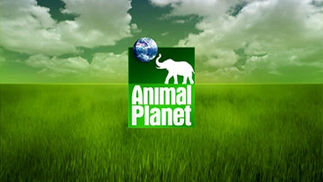 UPC a anunţat că va difuza televiziunea Animal Planet HD, în premieră, în România