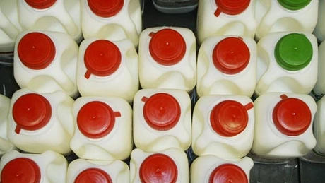 Vânzările de lapte au scăzut cu aproape 45%. Procesatorii pierd zeci de milioane de euro