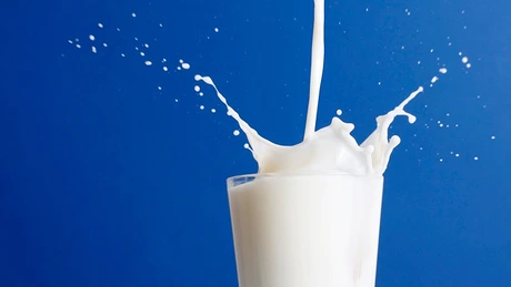 Cantitatea de lapte colectată de la vaci a scăzut cu 8,4%, în primele 11 luni din 2015