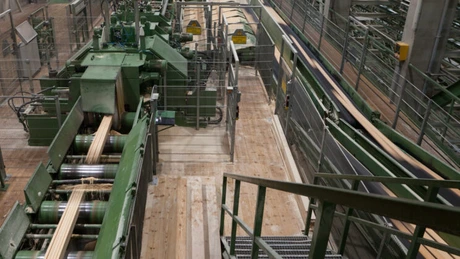 Austriecii fac o fabrică de cherestea de 150 mil. euro la Covasna