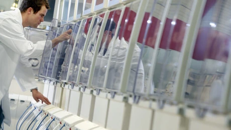 Fresenius Medical Care România a obţinut în 2012 un profit de 4 mil. dolari, în creştere cu 21%