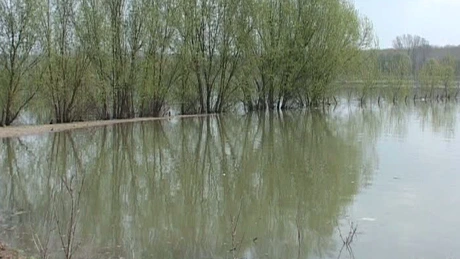 Hărţile de hazard şi risc la inundaţii au fost finalizate şi acoperă 11 bazine hidrografice din ţară