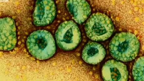 Primul caz de contaminare cu coronavirusul MERS în SUA