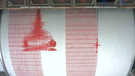 Cutremur de 4,8. A fost simţit şi în Bucureşti