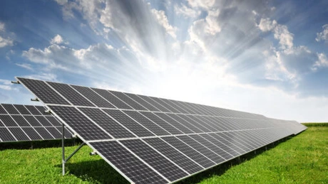 EnergoBit va decide într-o săptămână dacă renunţă definitiv la construcţia de parcuri fotovoltaice