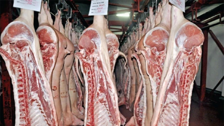 Aproximativ 550 de tone de carne, blocate de poliţişti într-un complex comercial din Capitală