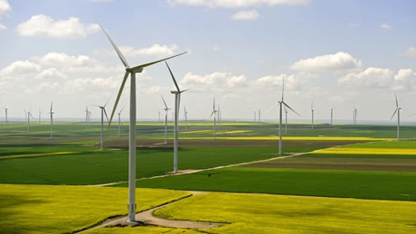 ANRE a acordat autorizaţii de înfiinţare pentru două parcuri eoliene şi opt proiecte fotovoltaice