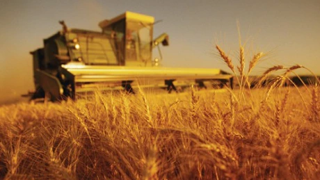 Constantin: România a exportat în acest an grâu de 300 mil. euro, valoare dublă faţă de 2012