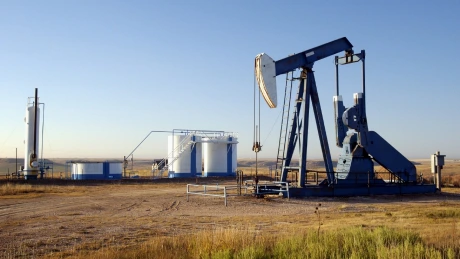 Petrochimia cere statului o companie naţională care să stocheze rezervele strategice de ţiţei