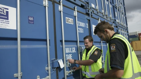 Noi reguli privind vama pentru companiile româneşti, de la 1 noiembrie