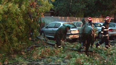 Primăria Sectorului 6 va despăgubi pe proprietarii automobilelor avariate în urma furtunilor