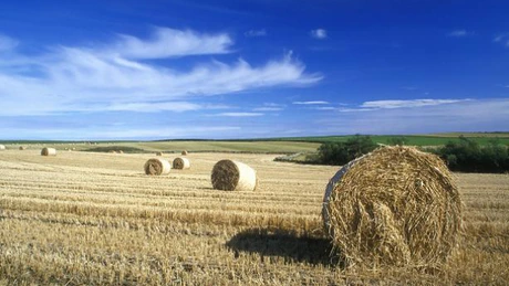 România, din nou El Dorado: fondurile de investiţii străine se înghesuie să cumpere terenuri agricole