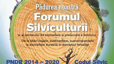 Cinci asociații din sectorul lemnului cer retragerea din Parlament a modificării a Codului Silvic
