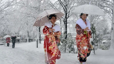 Furtună de zăpadă în Japonia: Toyota, Suzuki şi Honda îşi suspendă producţia în nouă fabrici