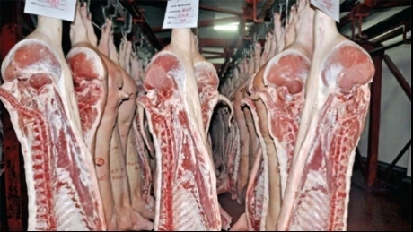 Europarlamentarul Rareş Niculescu: O recomandare a PE ar putea duce la scumpirea cărnii de porc şi de pui