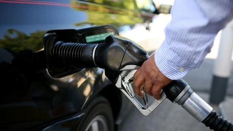 Miting al PMP împotriva accizei la carburanţi. Udrea: Creşterea accizei, o bombă pentru economie
