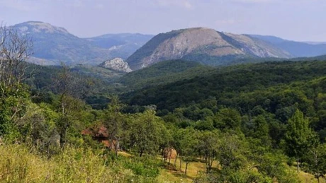 Satul din România deţinut de un om de afaceri îşi va primi turiştii anul viitor