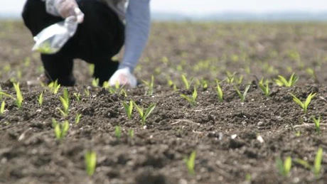 Guvernul va acorda amnistie fiscală pentru proprietarii terenurilor afectate, anul trecut, de calamităţi