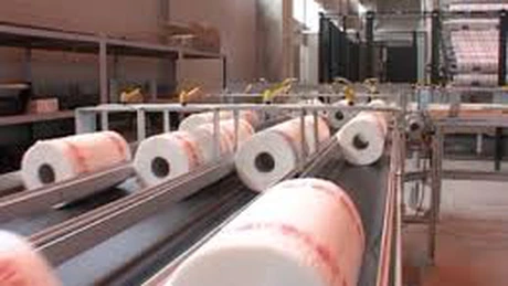 Fabrica de celuloză şi hârtie din Drobeta Turnu Severin se pregăteşte să intre în exploatare